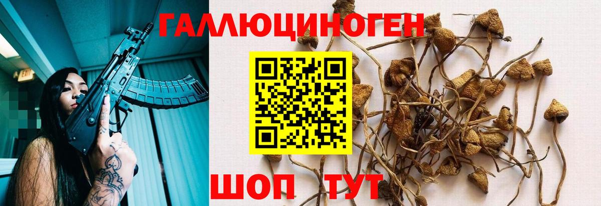 Саров  Галлюциногенные грибы прущие грибы  Вход с VPN 